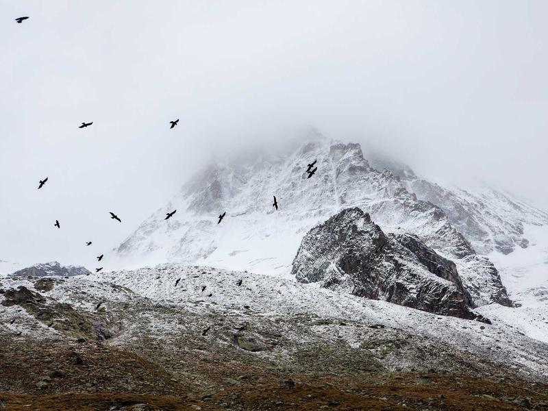 High-Conversion Web Design